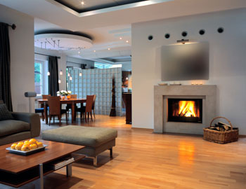 Professional cleaning company for domestic cleaning